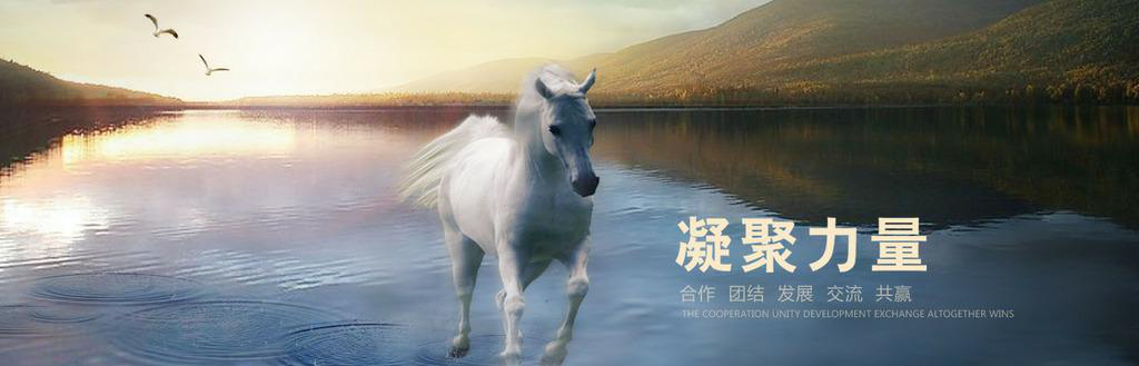&#20339;&#21338;&#23448;&#26041;&#32593;&#31449;&#95;&#20339;&#21338;&#106;&#105;&#97;&#98;&#111;&#40;&#20013;&#22269;&#41;